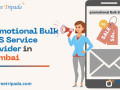 promotional-bulk-sms-service-provider-in-mumbai-shree-tripada-small-0