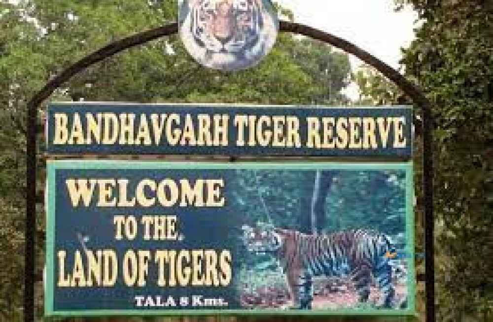 bandhavgarh-safari-booking-online-big-0