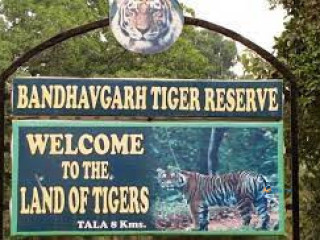 Bandhavgarh safari booking online