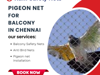 Best Pigeon Net for Balcony in Chennai