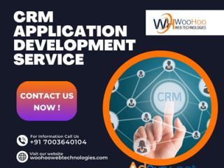 Professional CRM Application Development Service