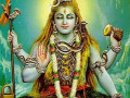 saurabh-chandrakar-mahadev-app-small-0