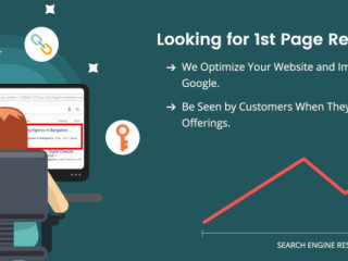 SEO Expert in Bangalore