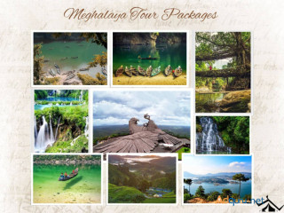 Discover Meghalaya: Unforgettable Tour Packages Await!