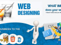 most-popular-website-design-company-in-delhi-small-0