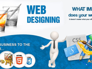 Most Popular Website Design Company in Delhi