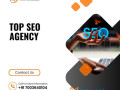 top-seo-agency-call-now-91-7003640104-small-0