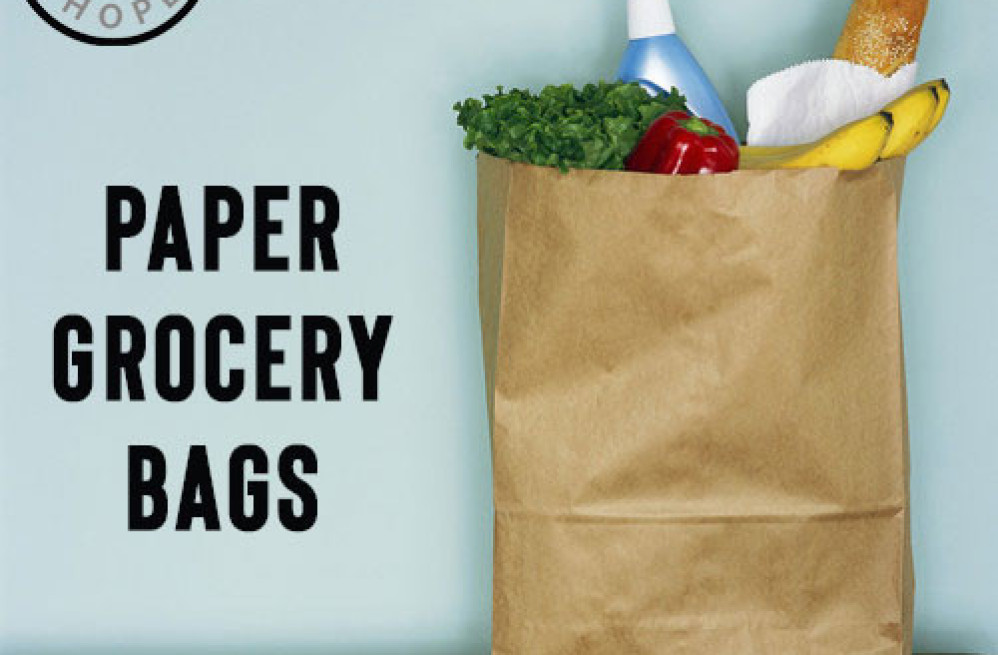 buy-paper-grocery-bags-online-in-bulk-or-wholesale-big-0