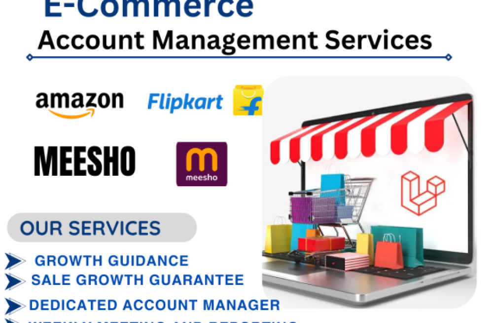 ecommerce-marketplace-account-management-services-in-delhi-big-0