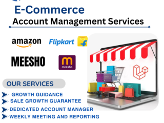 Ecommerce marketplace account management services in delhi