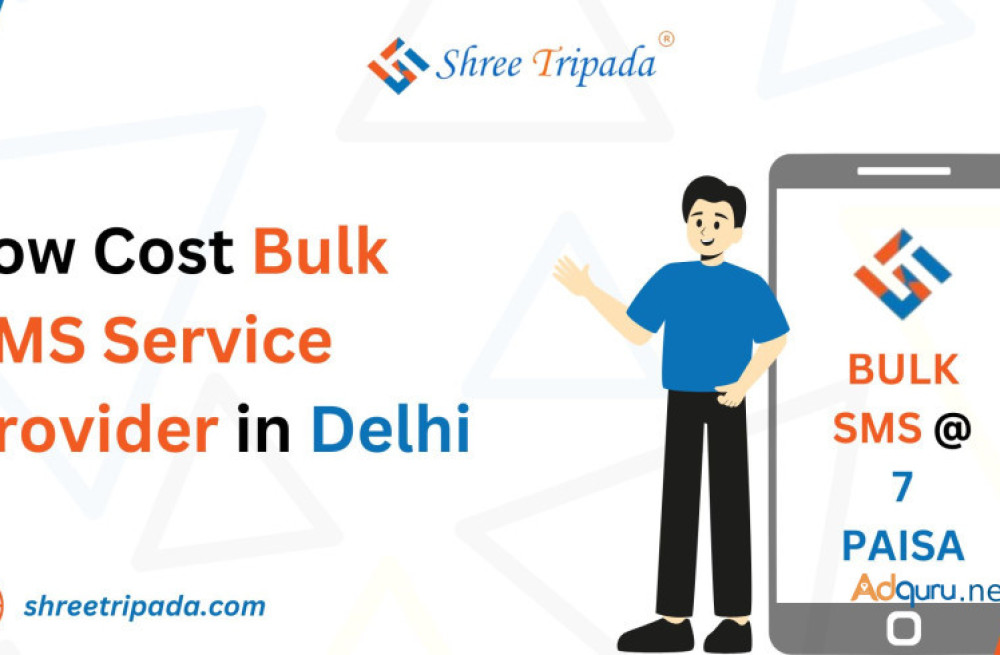 low-cost-bulk-sms-service-provider-in-delhi-shree-tripada-big-0