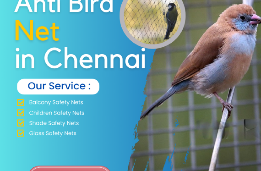 anti-bird-net-in-chennai-big-0