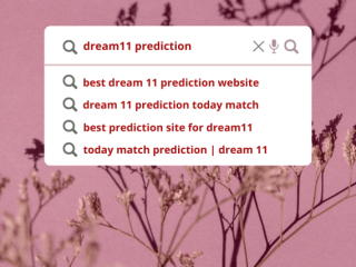 Expert Picks: The Ultimate Dream 11 Prediction Websites