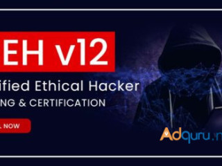 Get Certified with Our Ethical Hacker Certification Course