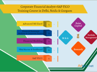 Financial Modelling Certification Course in Delhi.110088. Best Online Live Financial Analyst Training in Gurgaon by IIT Faculty , [ 100% Job in MNC]