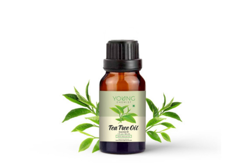 tea-tree-oil-big-0