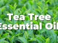 tea-tree-oil-small-1