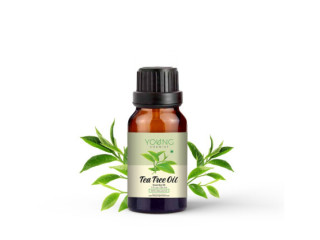 Tea Tree Oil