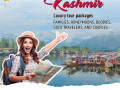 top-kashmir-luxury-tour-packages-trip-holiday-small-0