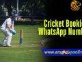 cricket-bookie-whatsapp-number-small-0