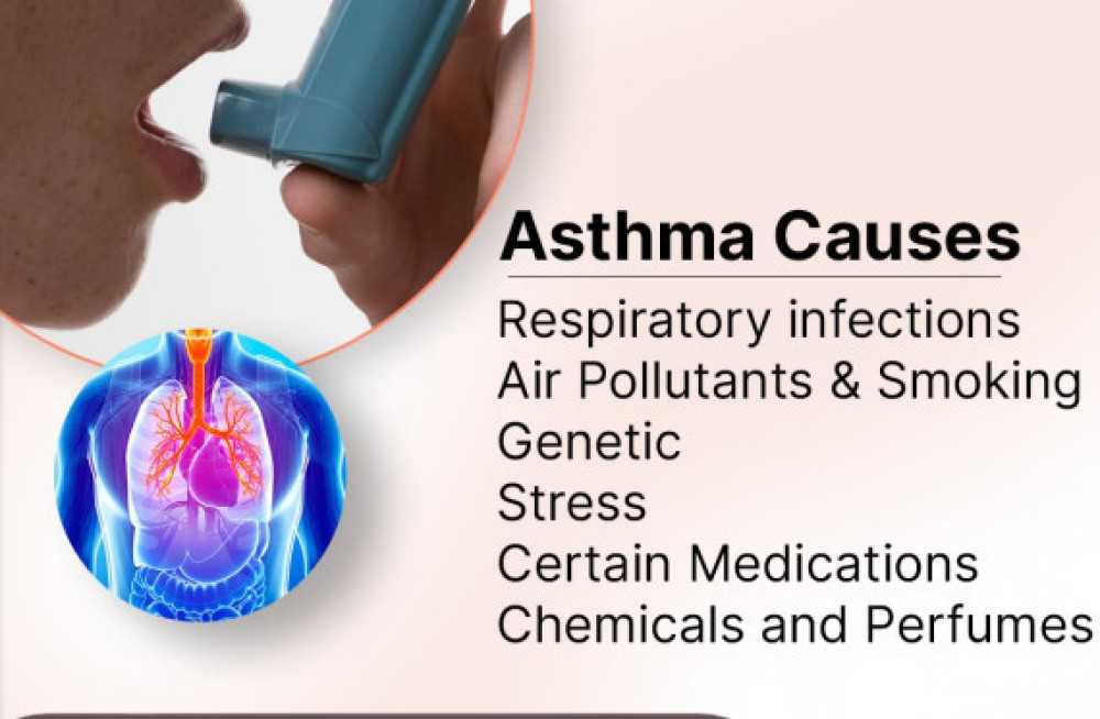 best-asthma-treatment-in-bangalore-big-0