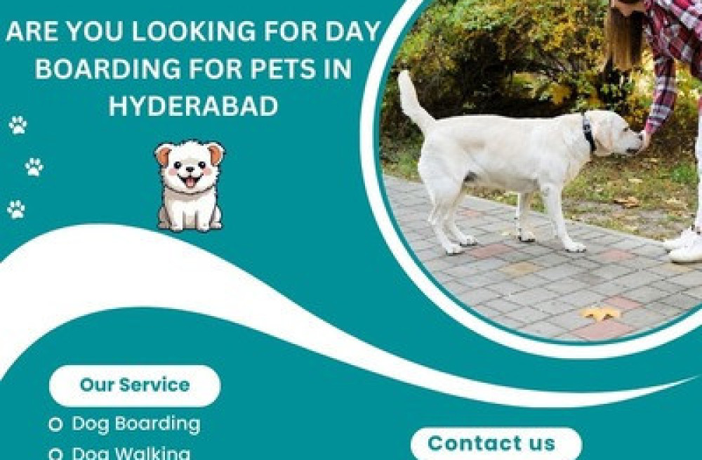 professional-day-boarding-for-pets-in-hyderabad-big-0