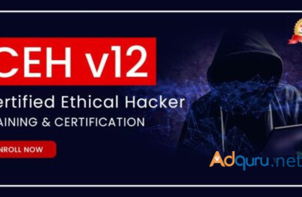 certified-ethical-hacker-ceh-exam-training-big-0