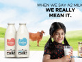 savor-the-natural-essence-of-rajkots-a2-desi-cow-milk-small-0