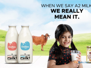 Savor the Natural Essence of Rajkot's a2 Desi Cow Milk