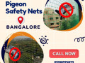 choose-prestige-for-pigeon-safety-nets-in-bangalore-at-the-best-price-small-0