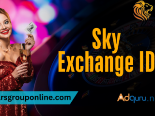 Get Trusted Sky Exchange ID WhatsApp Number