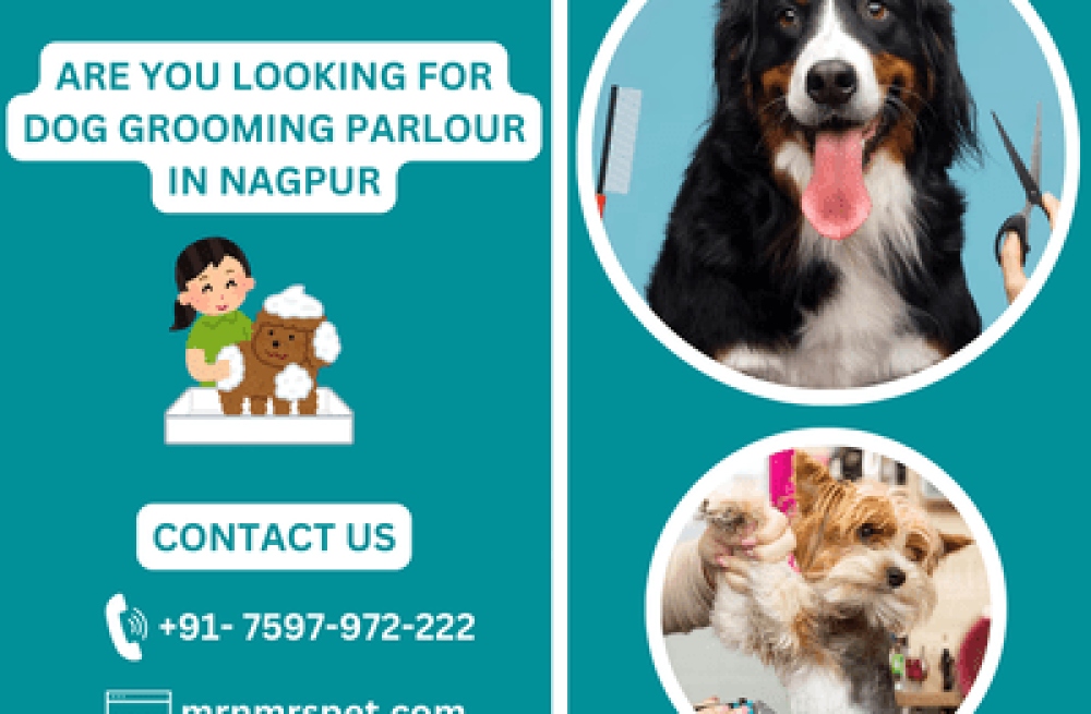 best-dog-grooming-parlour-in-nagpur-big-0