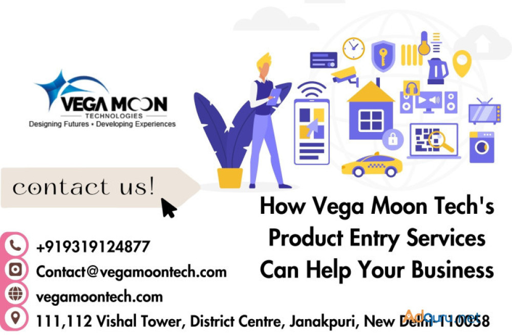 how-vega-moon-techs-product-entry-services-can-help-your-business-big-0