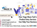 how-vega-moon-techs-product-entry-services-can-help-your-business-small-0