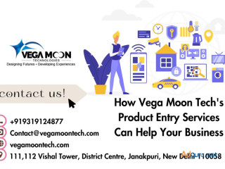 How Vega Moon Tech's Product Entry Services Can Help Your Business