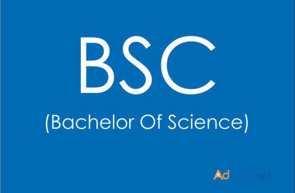 b-sc-bachelor-of-science-big-0