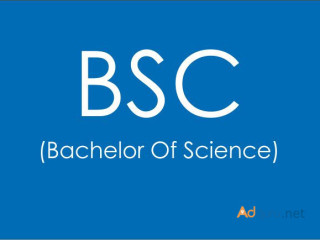 B Sc - Bachelor of Science