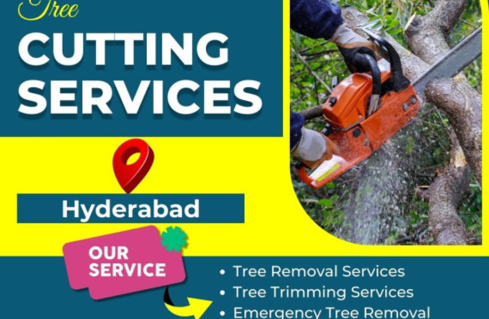 tree-cutting-services-in-hyderabad-nhn-tree-cutting-services-big-0