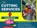 tree-cutting-services-in-hyderabad-nhn-tree-cutting-services-small-0