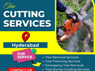 Tree Cutting Services in Hyderabad - NHN Tree Cutting Services