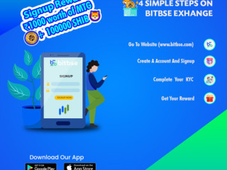 Why BitBse is the Best Crypto Exchange for Your Trading and Investment Needs