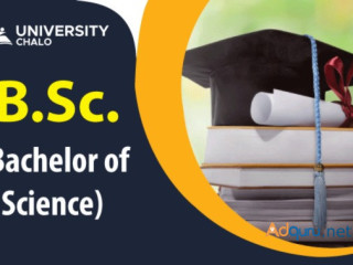 B Sc - (Bachelor of Science)