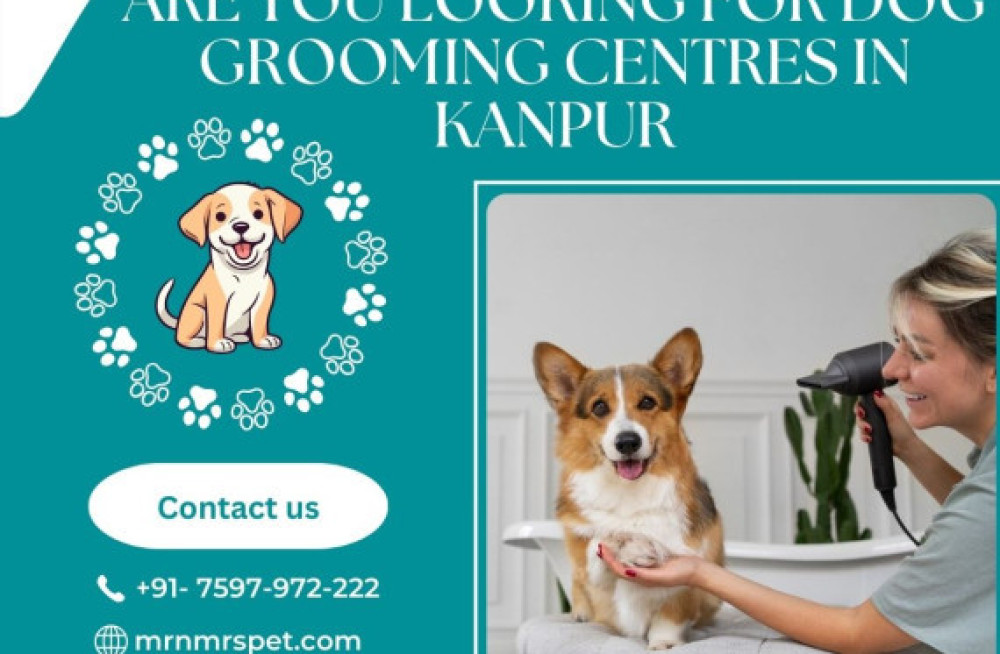 best-dog-grooming-centres-in-kanpur-big-0