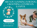 best-dog-grooming-centres-in-kanpur-small-0