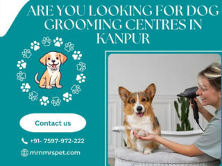 Best Dog Grooming Centres in Kanpur