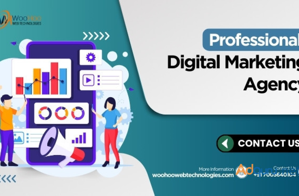 professional-digital-marketing-agency-in-india-call-91-7003640104-big-0