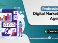 professional-digital-marketing-agency-in-india-call-91-7003640104-small-0