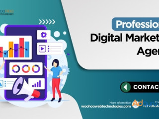 Professional Digital Marketing Agency in India Call +91 7003640104