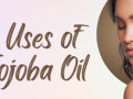 jojoba-oil-is-your-new-best-buddy-if-you-have-oily-skin-small-1