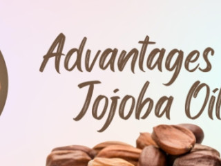 Jojoba Oil Is Your New Best Buddy If You Have Oily Skin.